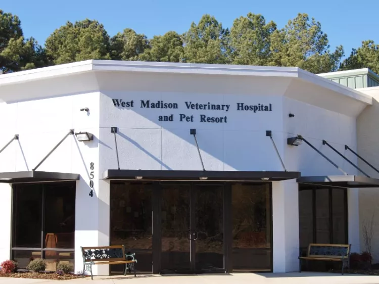 West Madison Veterinary Hospital, Tennessee, Madison